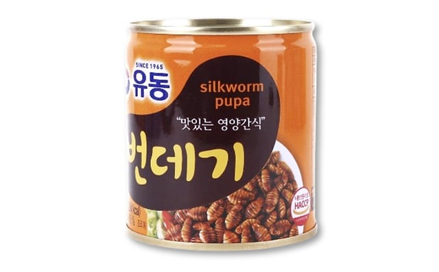 번데기 1