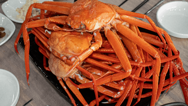 Red Snow Crab 1