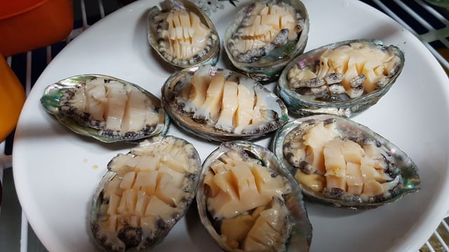 Rå abalone i skiver 1