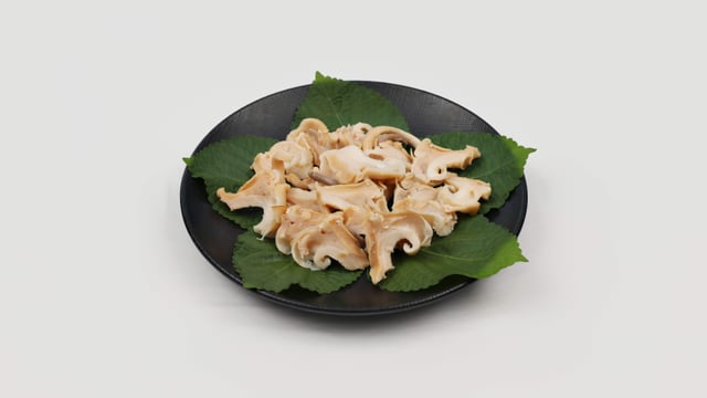 Sliced Raw Conch 1