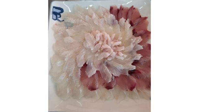 모듬회 1