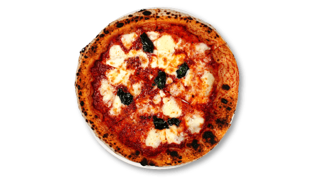 Margherita Pizza 1