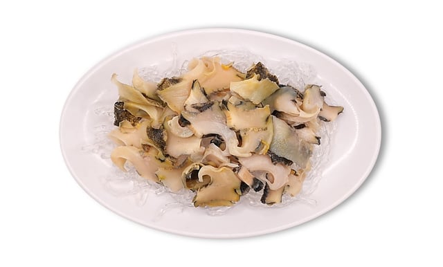 Parboiled Conch 1