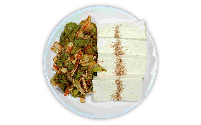 Handmade Bean Curd with Salad 1