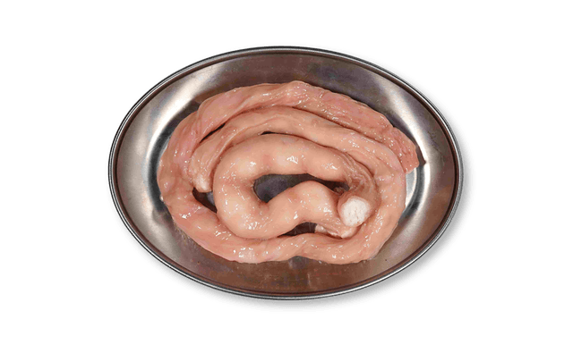 Grilled Korean Beef Large Intestines 1