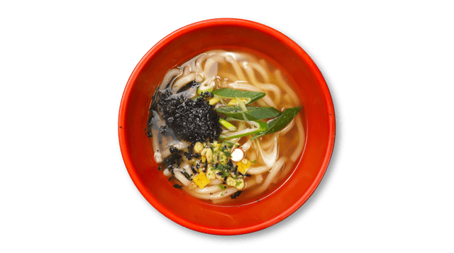 Udon 1