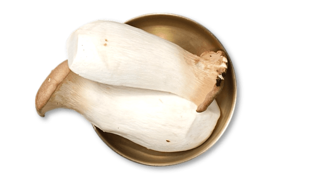 Istridye Mantarı Izgara 1