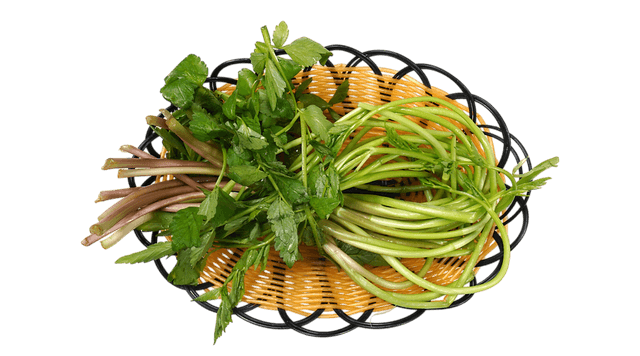 Extra Serving of Cheongdo Water Parsley 1