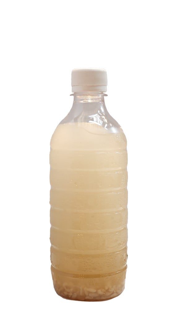 Sweet Rice Punch 1
