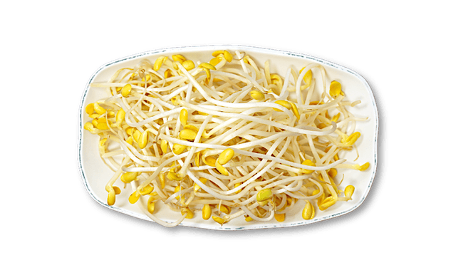 Extra Bean Sprouts 1