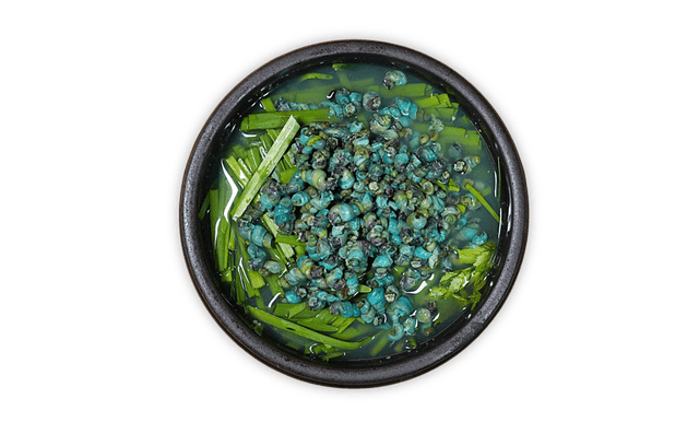 Marsh Snail Hangover Soup 1