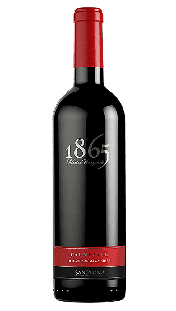 San Pedro 1865 Selected Vineyard Cabernet Sauvignon 1
