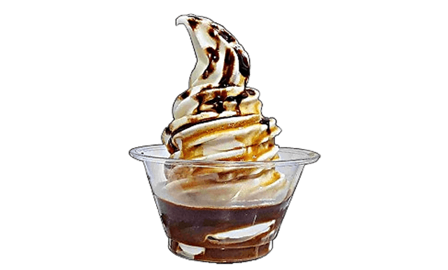 Glace Affogato Bio 1