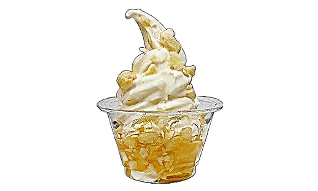 Glace Miel et Ail Bio 1