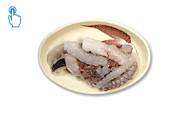 Extra Oktopus 1