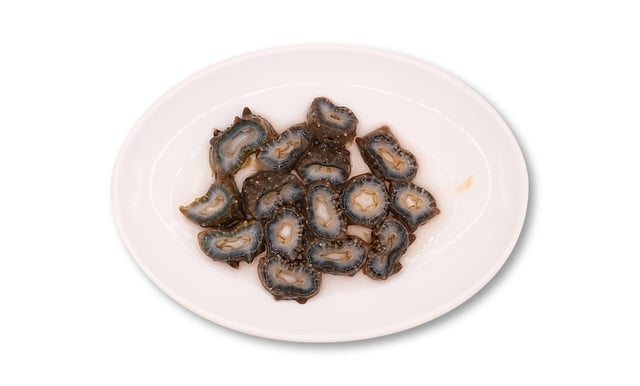 Raw Sea Cucumber 1