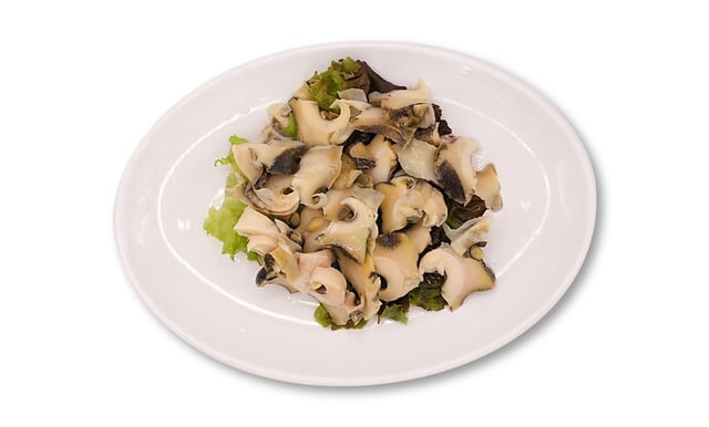 Parboiled Conch 1