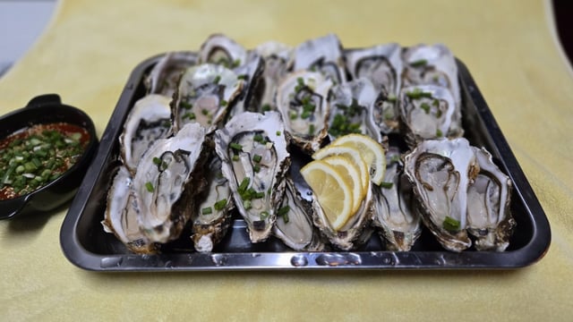 Oysters 1