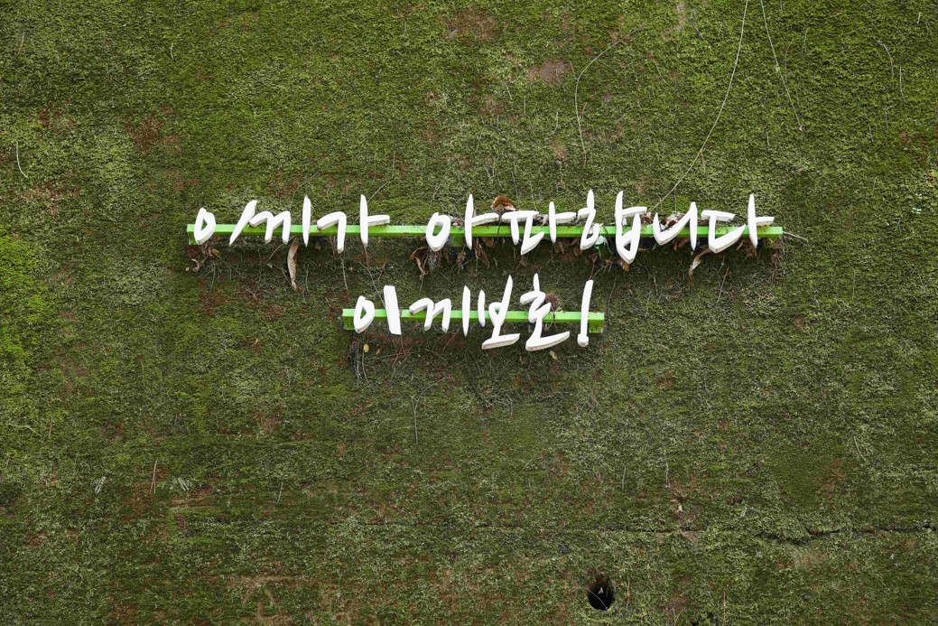 이끼터널 2