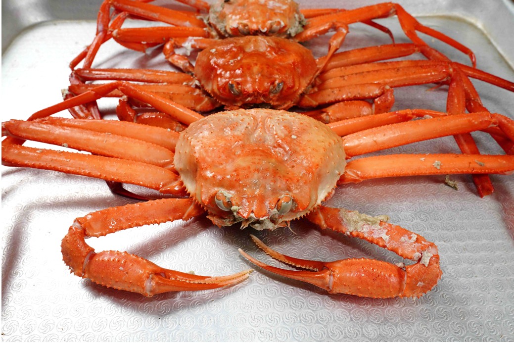 Steamed Red Snow Crab 1